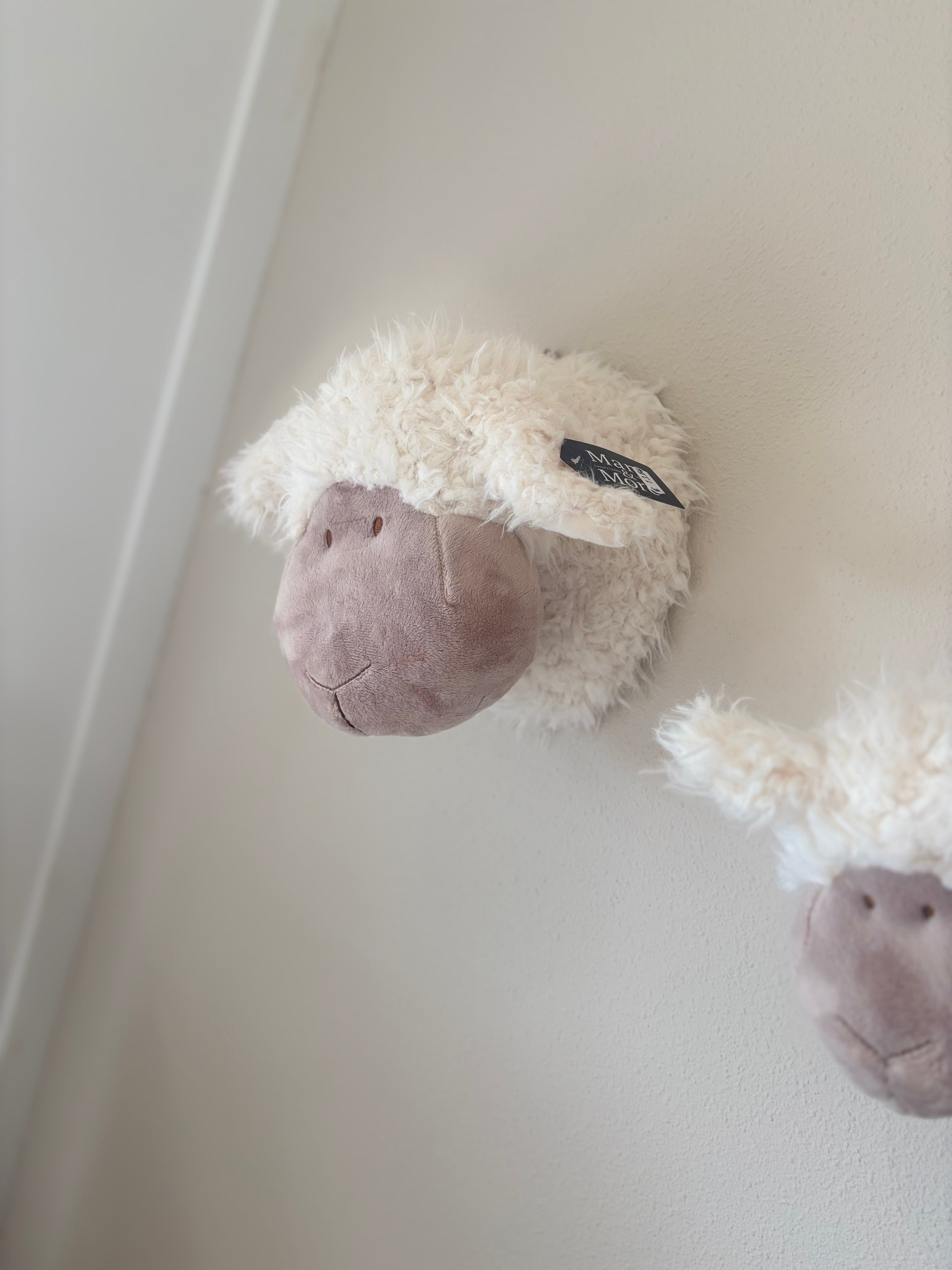 Schapenkop Wand - Middel (24 cm)