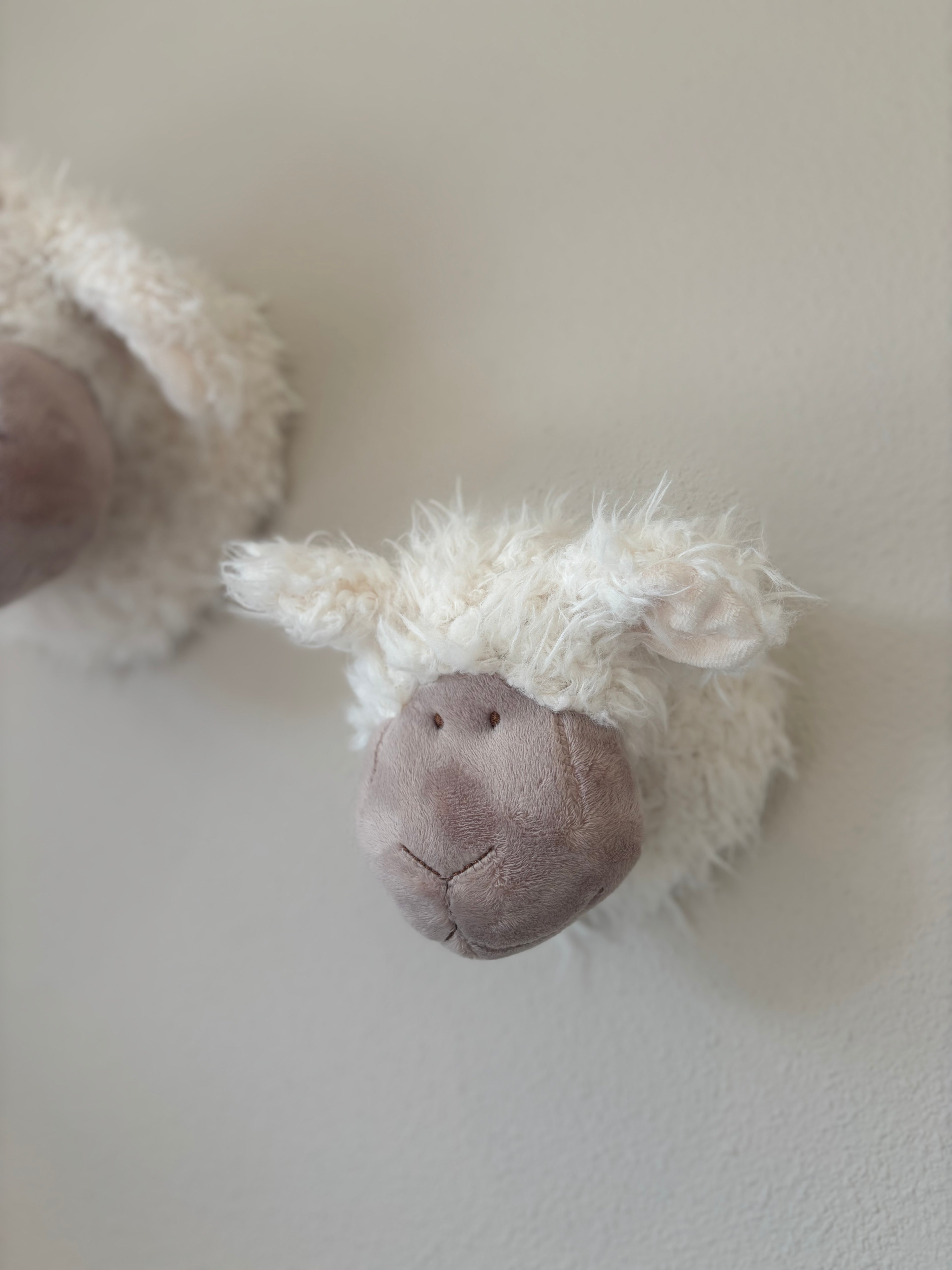 Schapenkop Wand - Klein (14 cm)
