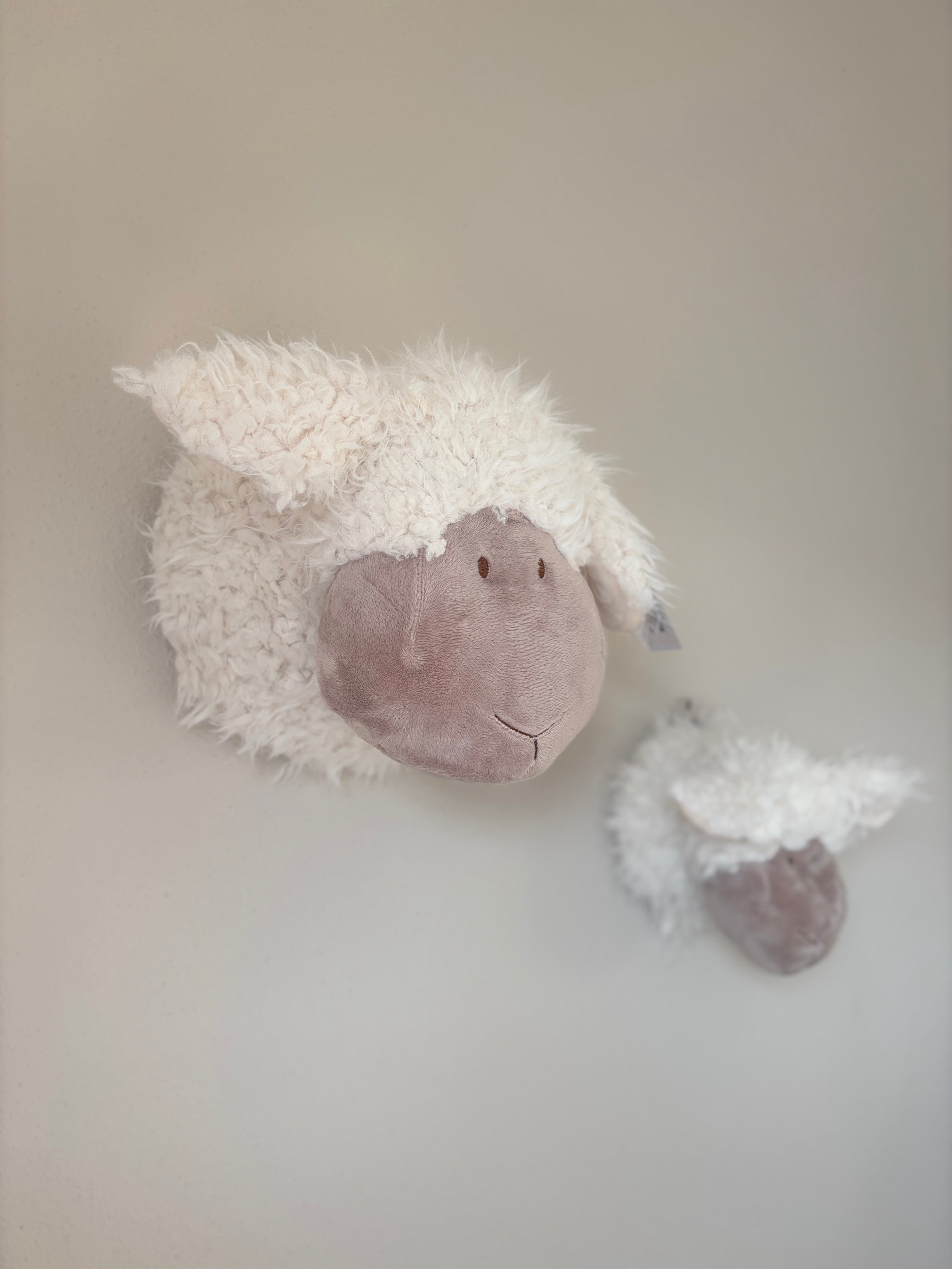 Schapenkop Wand - Middel (24 cm)