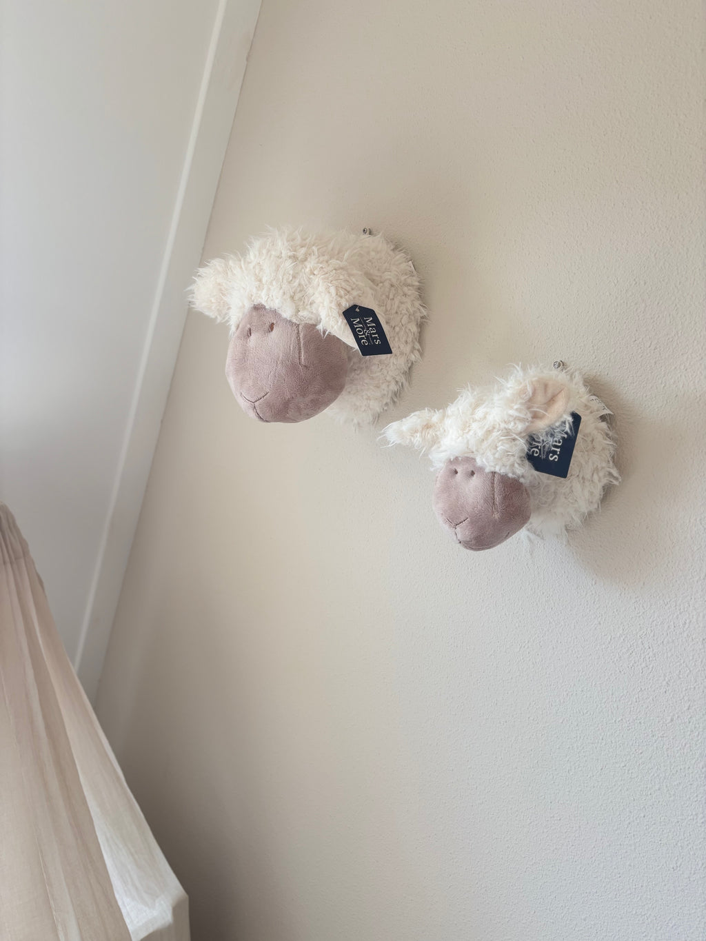 Schapenkop Wand - Klein (14 cm)