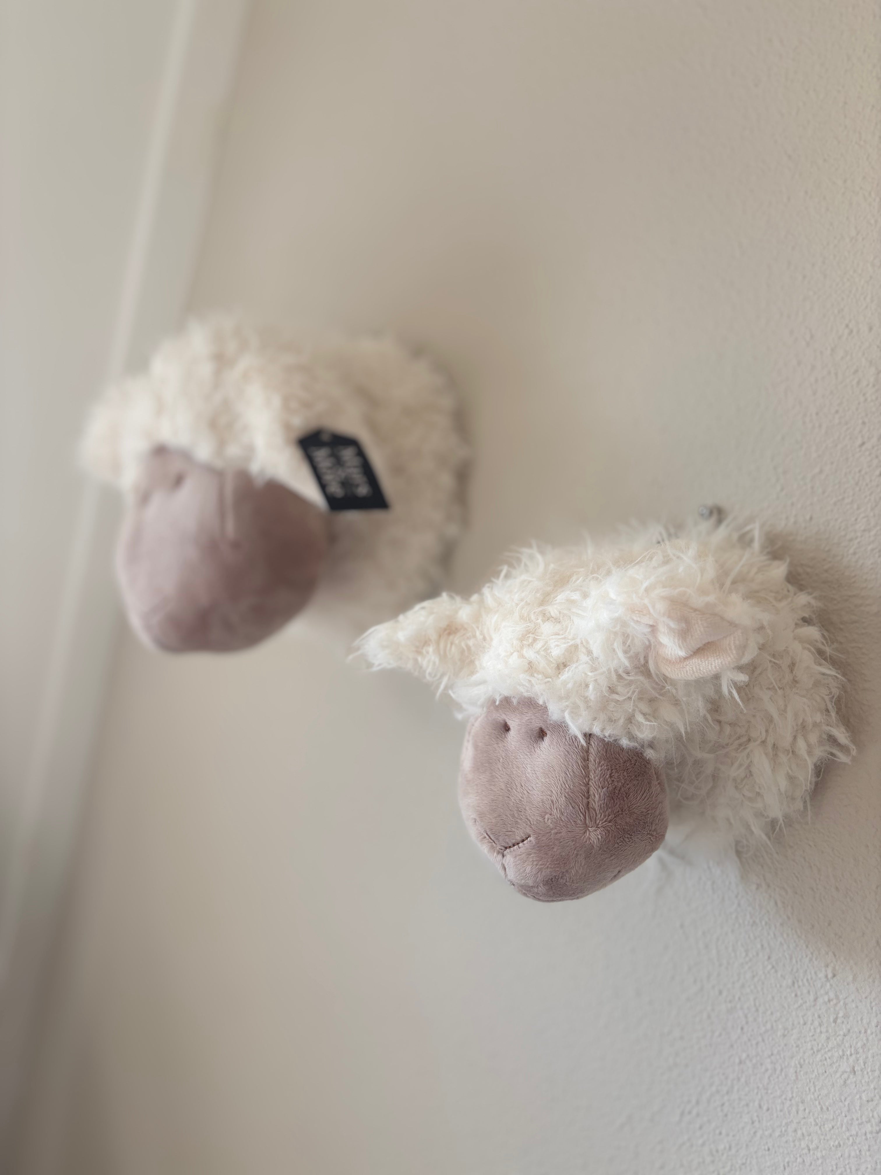 Schapenkop Wand - Klein (14 cm)