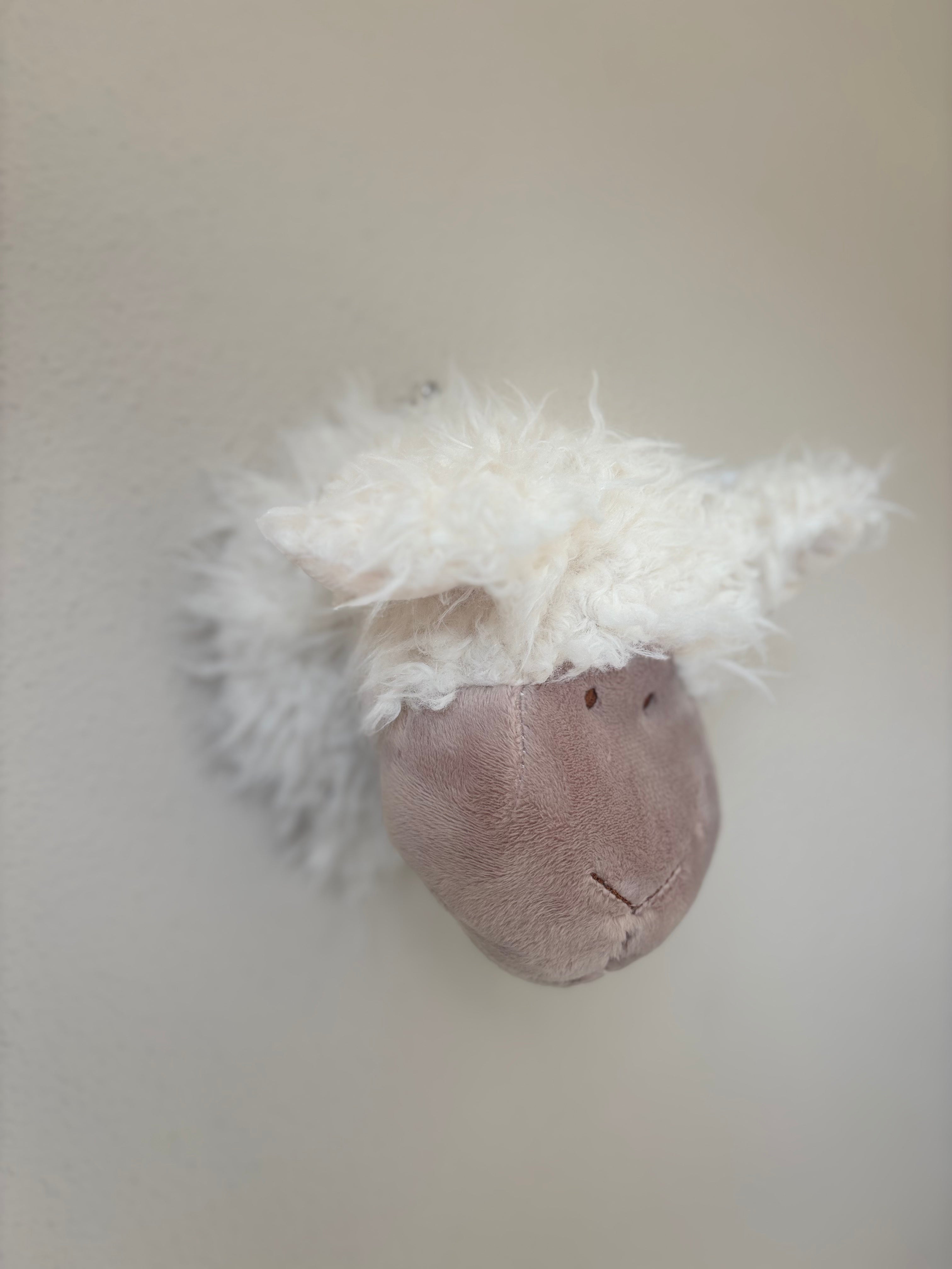Schapenkop Wand - Klein (14 cm)
