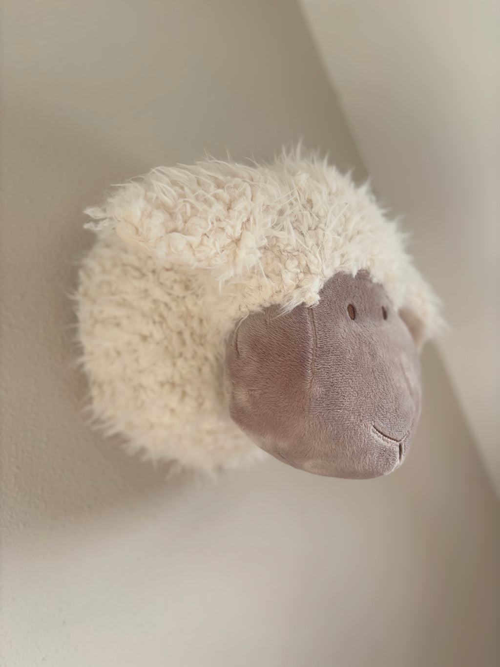 Schapenkop Wand - Middel (24 cm)